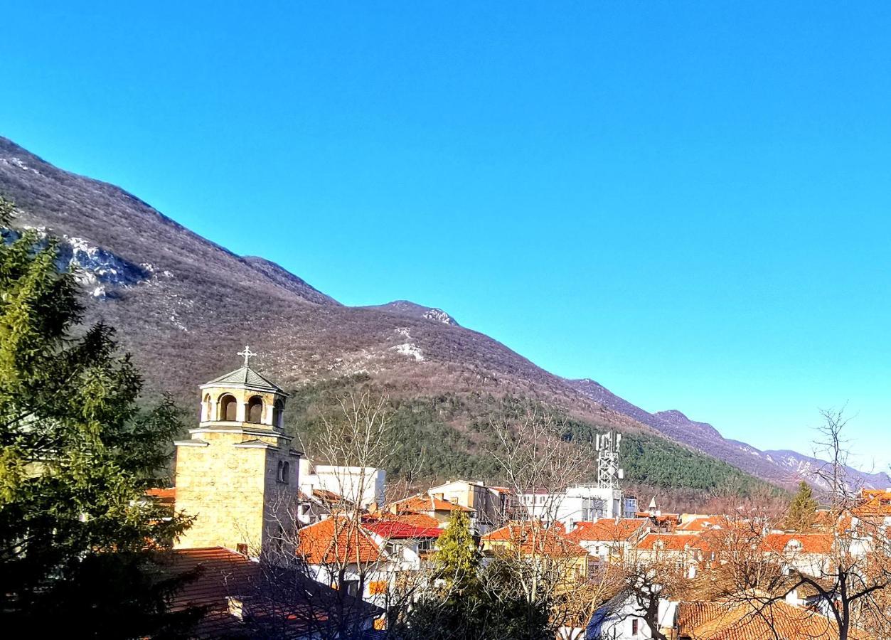 Balkan View Apartment Vratsa Extérieur photo